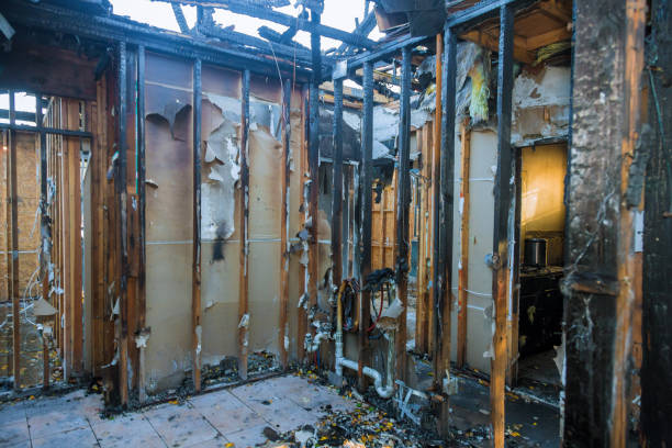 Professional Odor Removal technician working in Gibsonton, FL