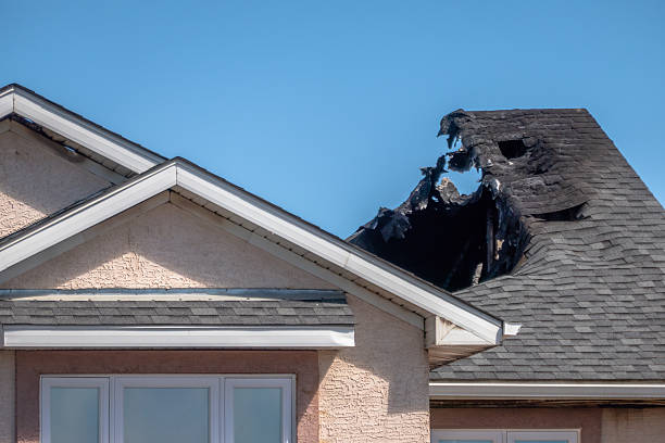 Top rated local Odor Removal specialists in Gibsonton, FL
